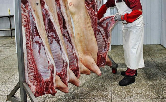 В Ростовской области компания отделалась штрафом за производство колбасы с опасными антибиотиками
