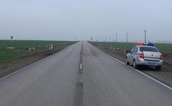 В Ростовской области объявлен в розыск мужчина, насмерть сбивший пешехода