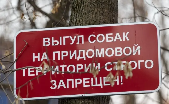 Табличка на дереве, запрещающая выгуливать собак. Фото primamedia.ru.