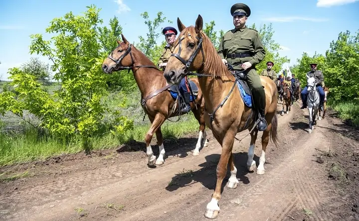 Казаки, участвовавшие в военно-полевом выходе. Фото donland.ru