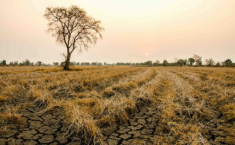 Ростовская область может войти в нацпрограмму по борьбе с опустыниванием земель