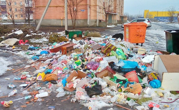Названы города Ростовской области, жители которых чаще других жалуются на горы мусора