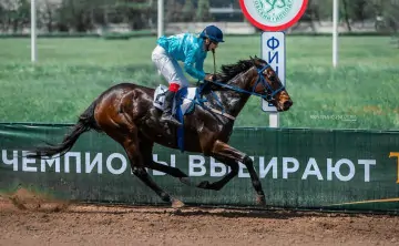 Скачки. Фото с сайта правительства Ростовской области