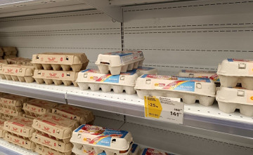 Ростовстат впервые с лета зафиксировал снижение цен на яйца в Ростовской области