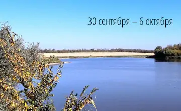 Пруд в станице Кировской. Фото donnews.ru