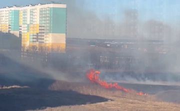 В Ростове рядом с многоэтажками тушат крупный ландшафтный пожар