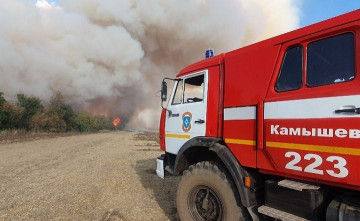 В Ростовской области с начала года почти в шесть раз выросло число ландшафтных пожаров
