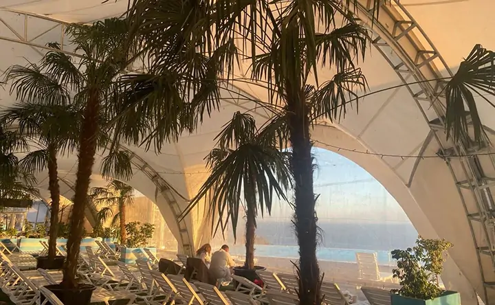 Пальмы. Фото ООО «Азовское Взморье».