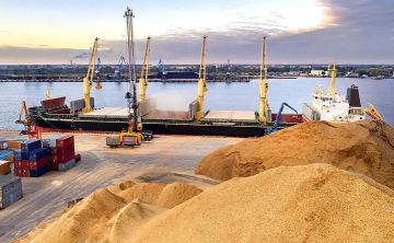 Владелец крупнейшего зернотрейдера Ростовской области ТД «РИФ» допустил ликвидацию компании