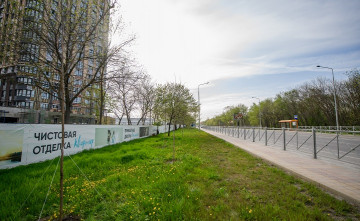 В Ростове рядом с ЖК «Левобережье» высадили 100 деревьев