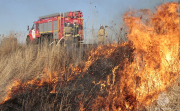 Особый противопожарный режим введут в Ростовской области с 28 апреля