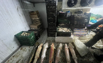 Нелегальный цех с рыбной продукцией на 11 млн рублей обнаружили пограничники в Ростовской области