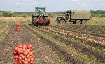 Эксперт рассказал, как засушливый март повлияет на будущий урожай в Ростовской области