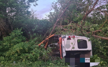 Следовавший из Сальска рейсовый микроавтобус съехал с дороги и врезался в дерево, погибли два человека