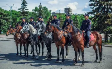 Конная полиция. Фото сообщества «Полиция России»