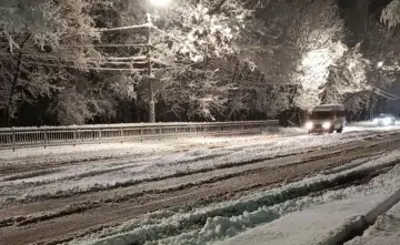 Неубранный снег на улице Миронова. Фото из соцсети