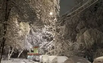 Заснеженная улица Миронова в Ростове. Фото из соцсети