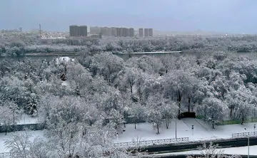 Зимний Ростов. Фото donnews.ru