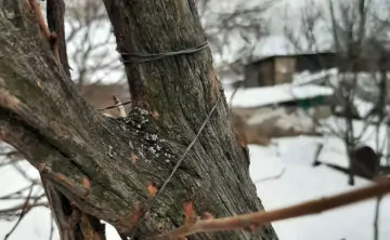 Фото с места происшествия из соцсети