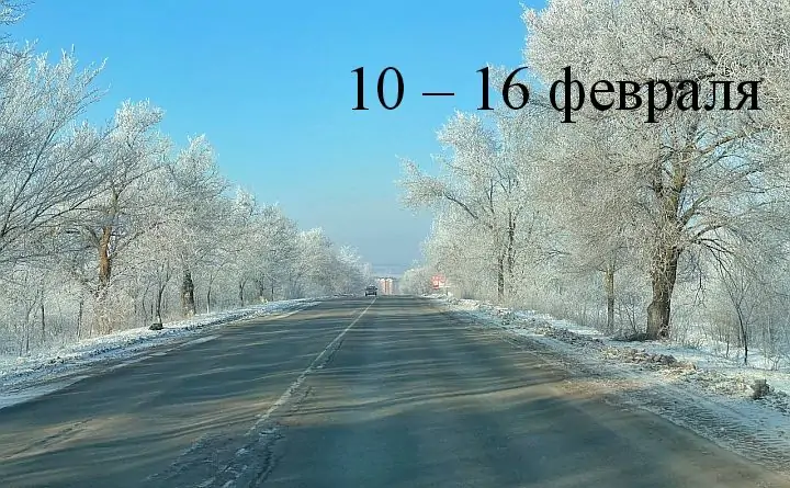 Дорога в Ростовской области.. Фото donnews.ru