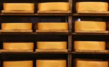 Пармезан. Фото Гавриила Григорова, ТАСС