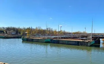 Понтонный мост на Зелёный остров. Фото из telegram-канала Алексея Логвиненко