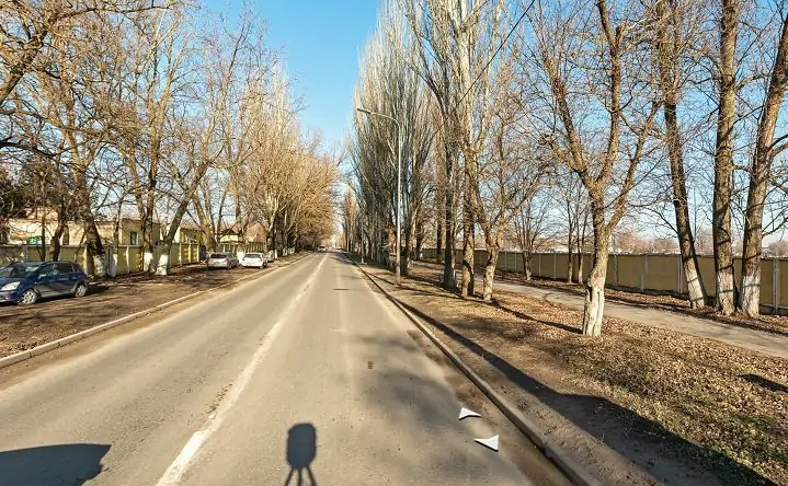 Улица Оганова в Ростове. Фото с «Яндекс.Карты»