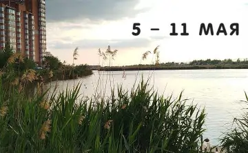 Река Малый Койсуг в Батайске. Фото donnews.ru