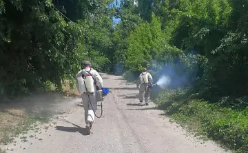 Обработка территорий от комаров. Фото пресс-службы администрации Ростова