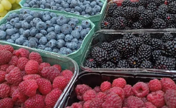 Ягоды. Фото donnews.ru