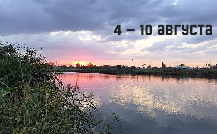 Река Малый Койсуг в Батайске. Фото donnews.ru