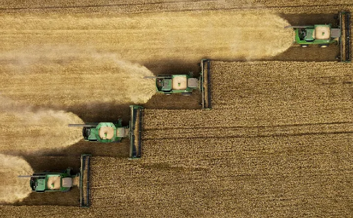 Уборка зерна. Фото Александра Кряжева, РИА Новости