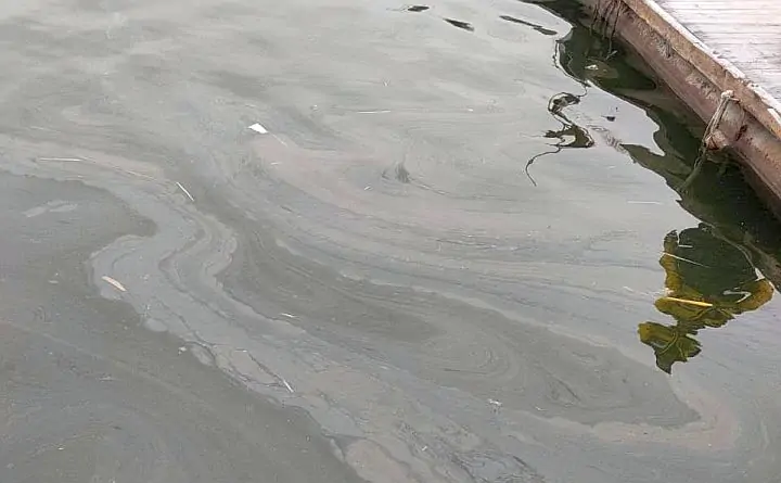 Масляное пятно в Дону. Фото министерства природы Ростовской области