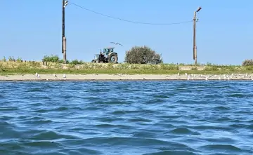 Дон. Фото donnews.ru