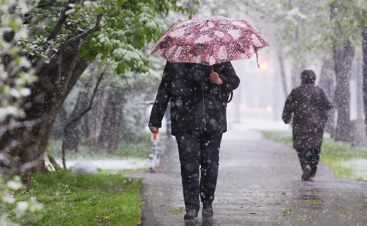 Мокрый снег. Фото Сергея Севостьянова, ТАСС