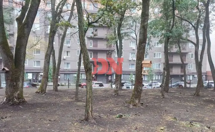 Вырубка. Фото donnews.ru