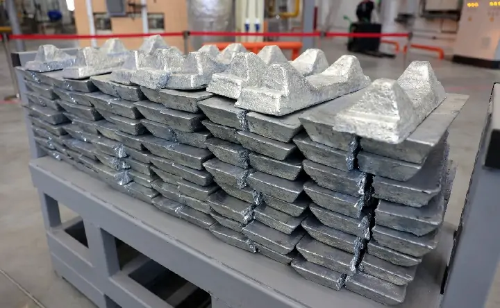 Сырьё для белил. Фото пресс-службы губернатора Ростовской области