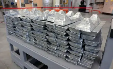 Сырьё для белил. Фото пресс-службы губернатора Ростовской области