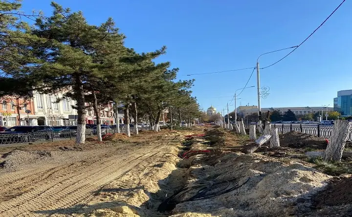 Вырубленные сосны. Фото пресс-службы губернатора Ростовской области
