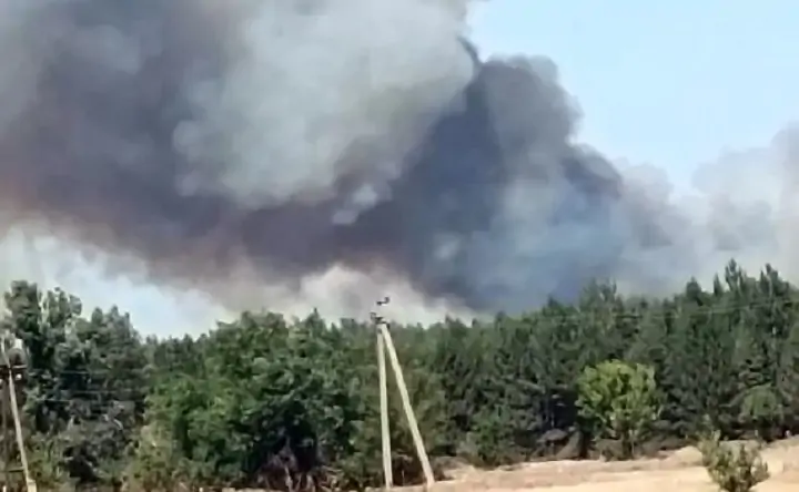 Пожар в лесах Каменского района. Фото donnews.ru