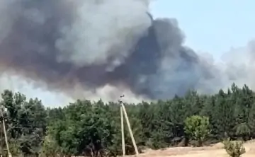 Пожар в лесах Каменского района. Фото donnews.ru