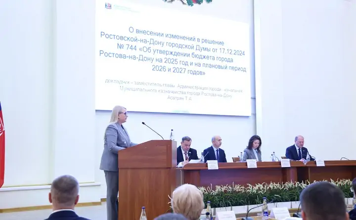 Заседание городской думы. Фото пресс-службы Ростовской городской думы