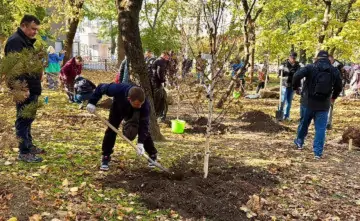 Посадка саженцев. Фото пресс-службы администрации Ростова