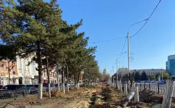 Место вырубки. Фото из telegram-канала Юрия Слюсаря