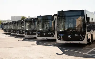 Автобусы. Фото администрации Ростова