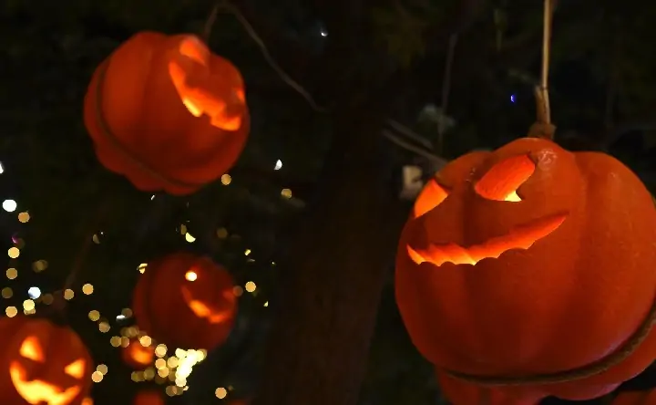 Праздничные тыквы. Фото Евгения Биятова, РИА Новости