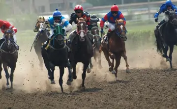 Скачки на ипподроме. Фото Ростовского ипподрома