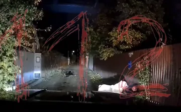 Напавший на женщину алабай. Фото telegram-канала \