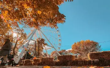 Осень в Ростове. Фото Дениса Демкова