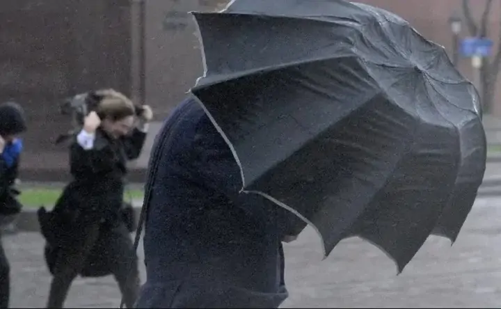 Ливень. Фото Алексея Никольского, РИА «Новости»